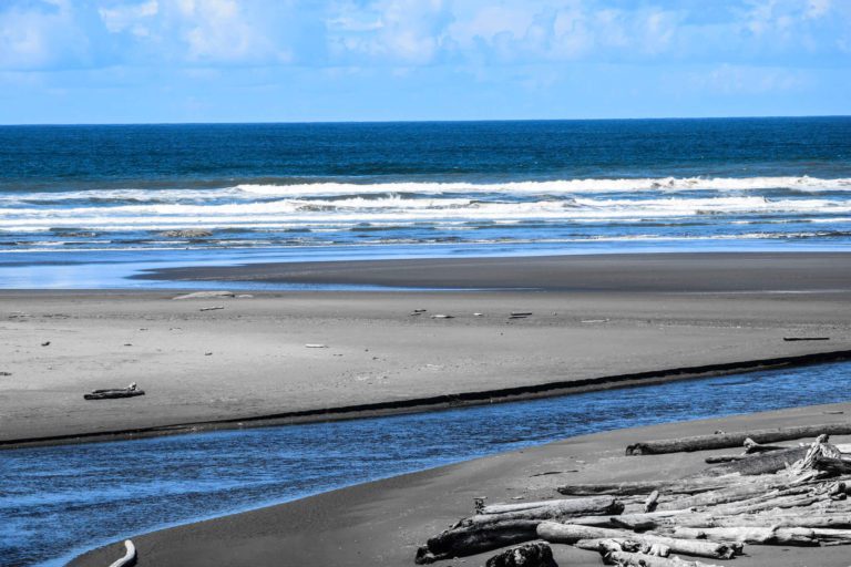 Olympic national park things to do