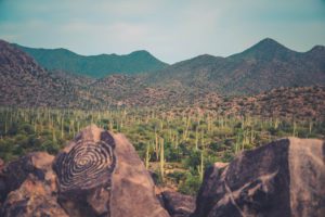 Read more about the article 14 Fun Things to Do in Tucson, Arizona
