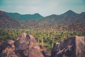 Saguaro National Park view