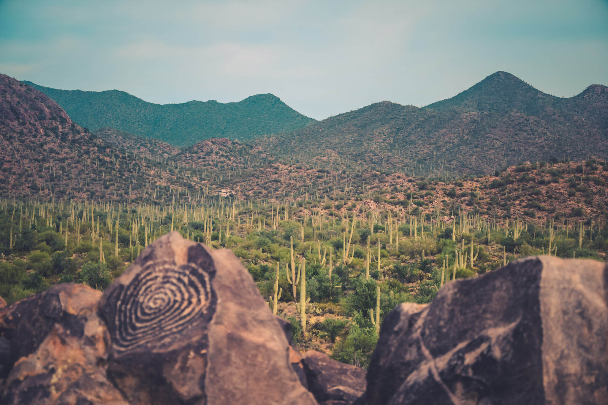 14 Fun Things to Do in Tucson, Arizona A Couple Days Travel