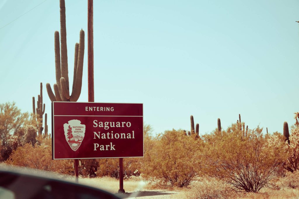 Saguaro National Park - Tucson, Arizona
