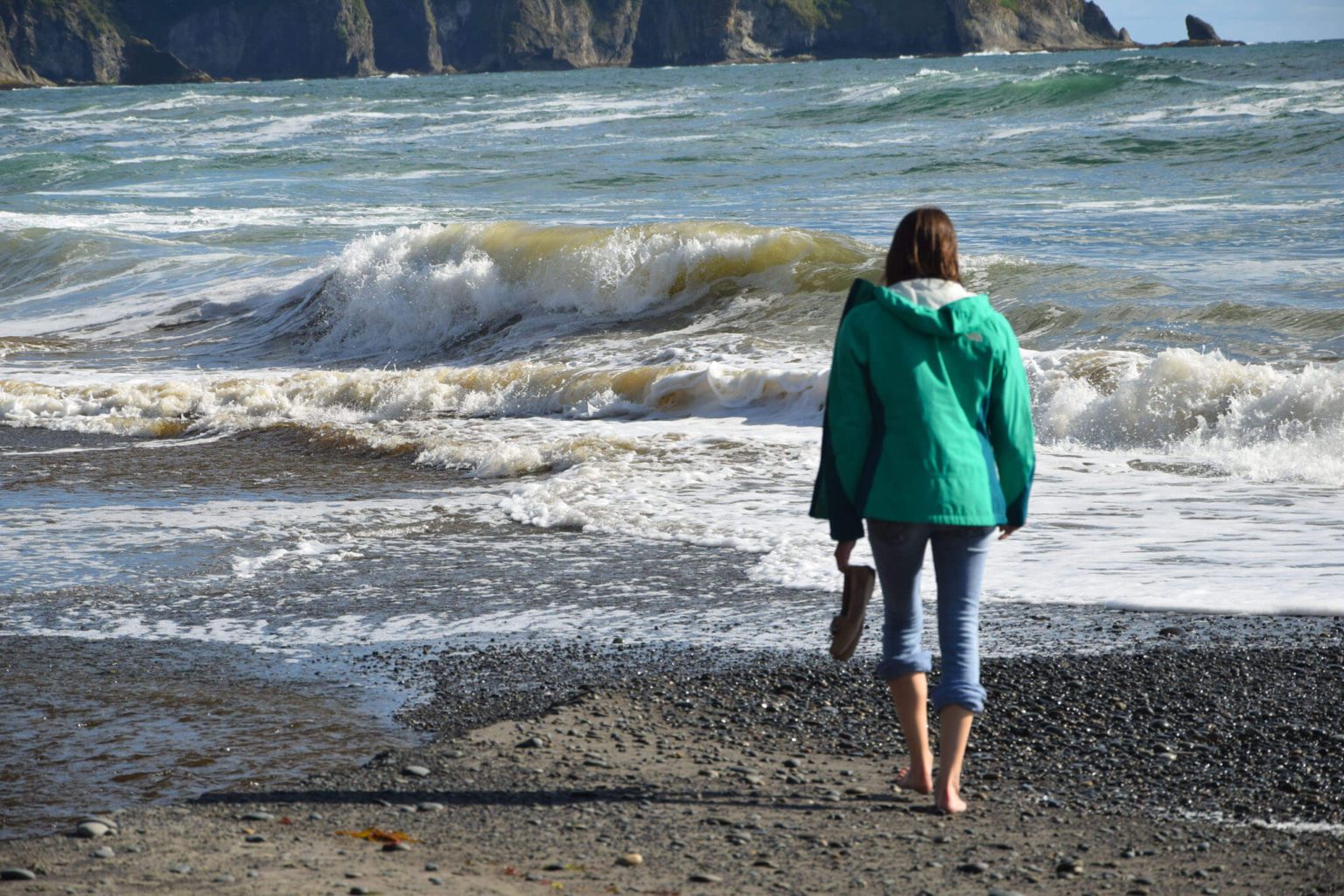 Fun things to do in olympic national park