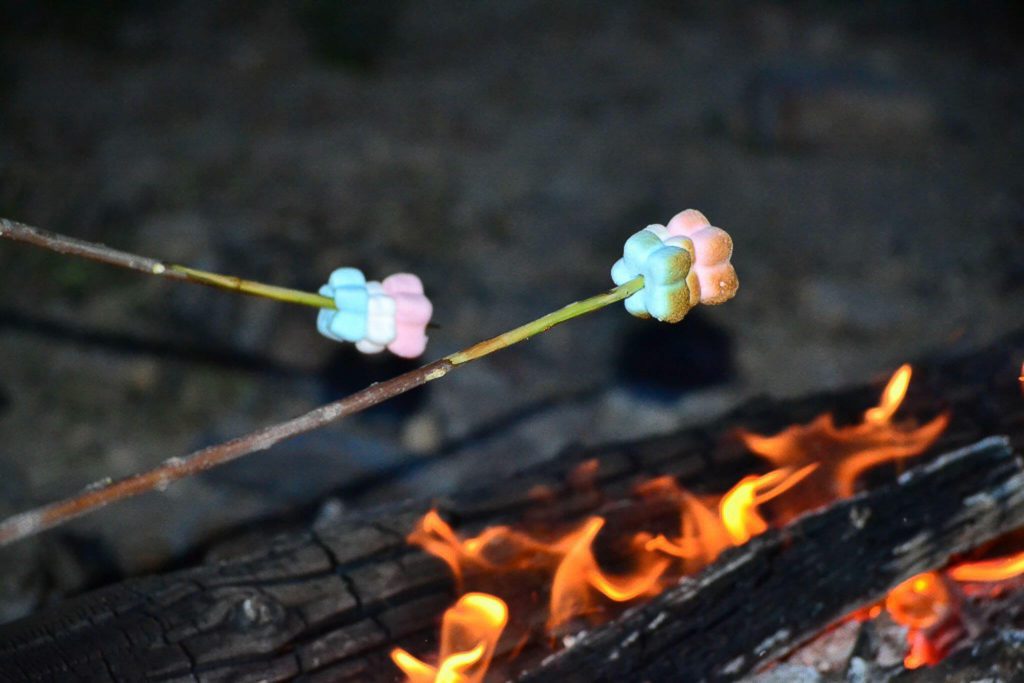 S'mores over campfire