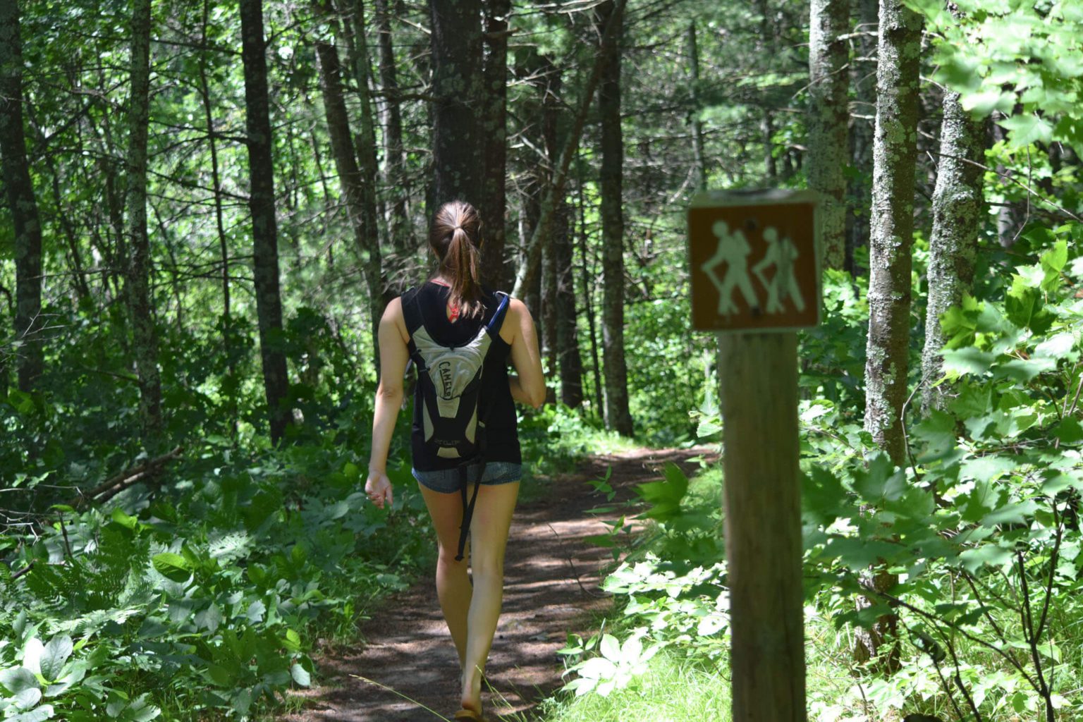 Top Things to do Around Hayward, Wisconsin A Couple Days Travel