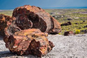 Read more about the article The Best 24-Hour Itinerary for Petrified Forest