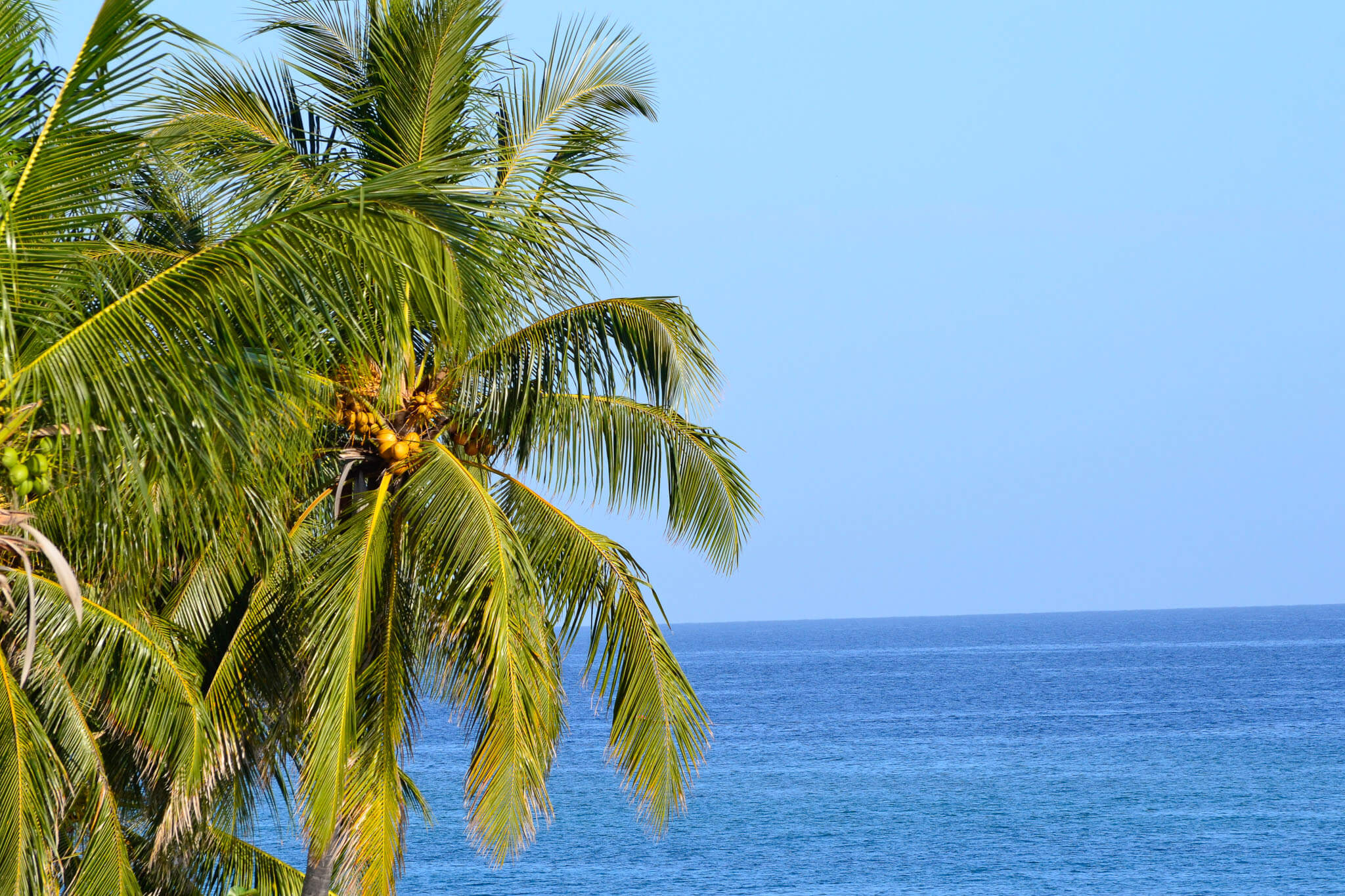 Read more about the article 20 Amazing Things to Do in Jamaica