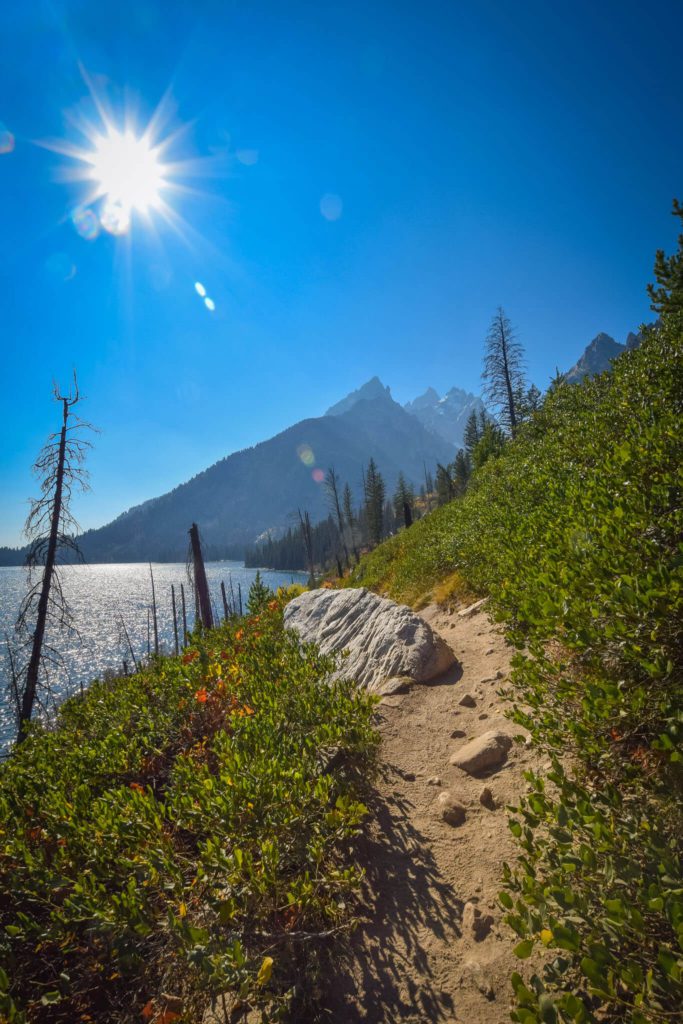 Jenny Lake Hiking Trail