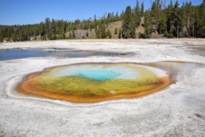 Read more about the article 3 Day Yellowstone Itinerary: Best of the Park