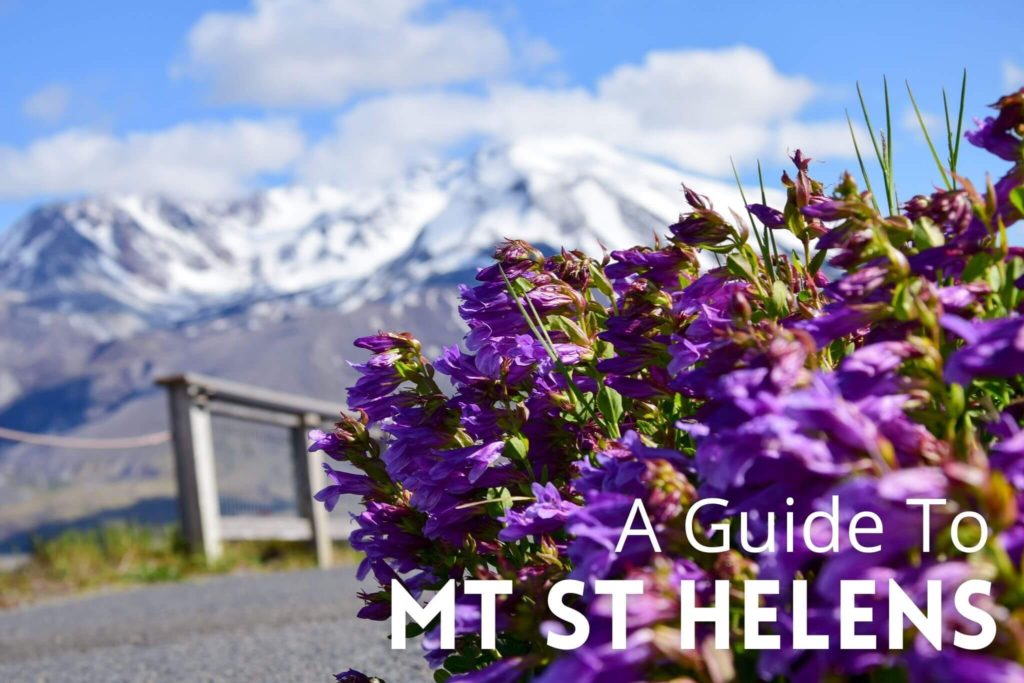 A Guide to Mt. St. Helens