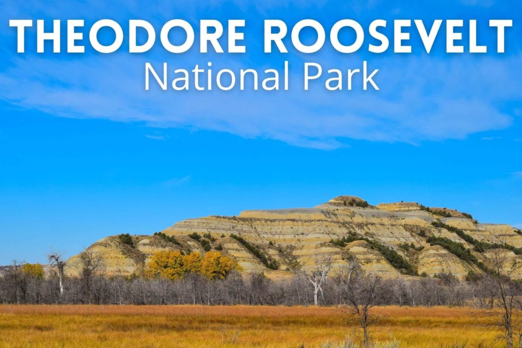 Theodore Roosevelt National Park