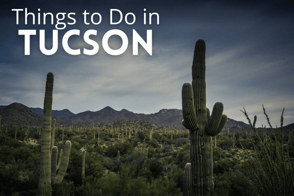 Things to Do in Tucson