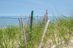 Read more about the article Lake Huron Day Trip: Michigan’s East Coast