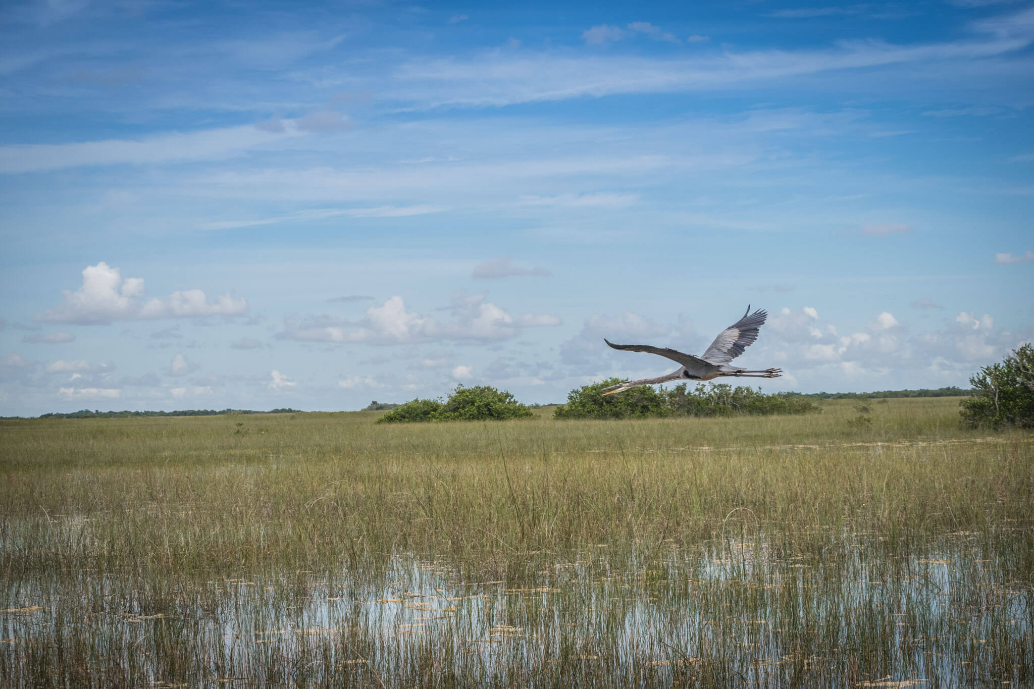 11 Exciting Things To Do In Everglades National Park - A Couple Days Travel