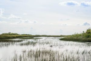 Read more about the article 11 Exciting Things To Do In Everglades National Park