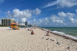 Read more about the article 15 Things To Do In Miami On A Budget