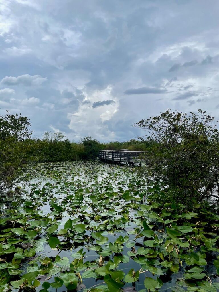 Everglades National Park