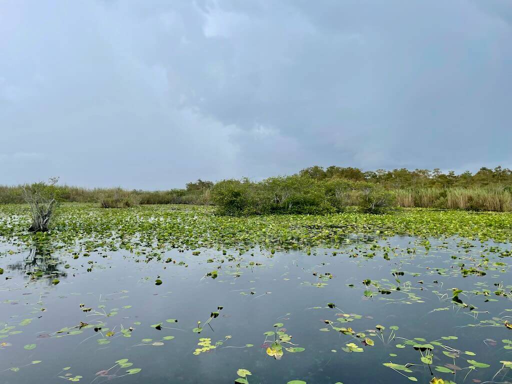 Everglades National Park