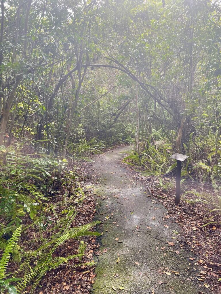 Everglades National Park