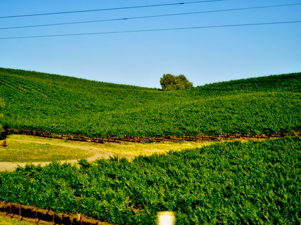 Read more about the article A Romantic 3 Day Vacation In Napa Valley