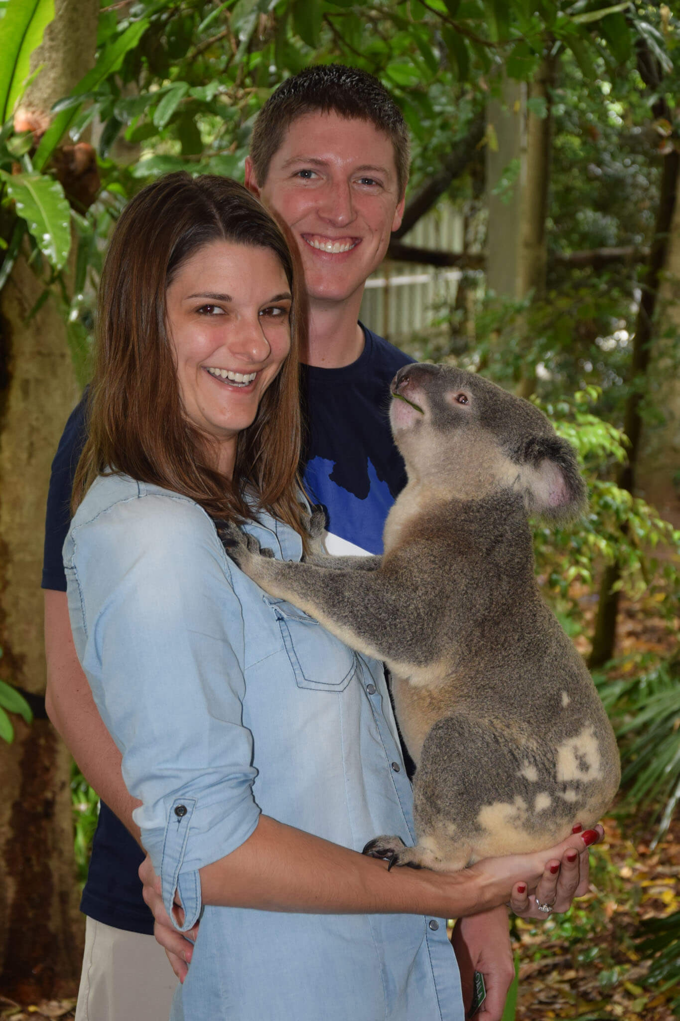 Lone Pine Koala Sanctuary: What You Need To Know - A Couple Days Travel