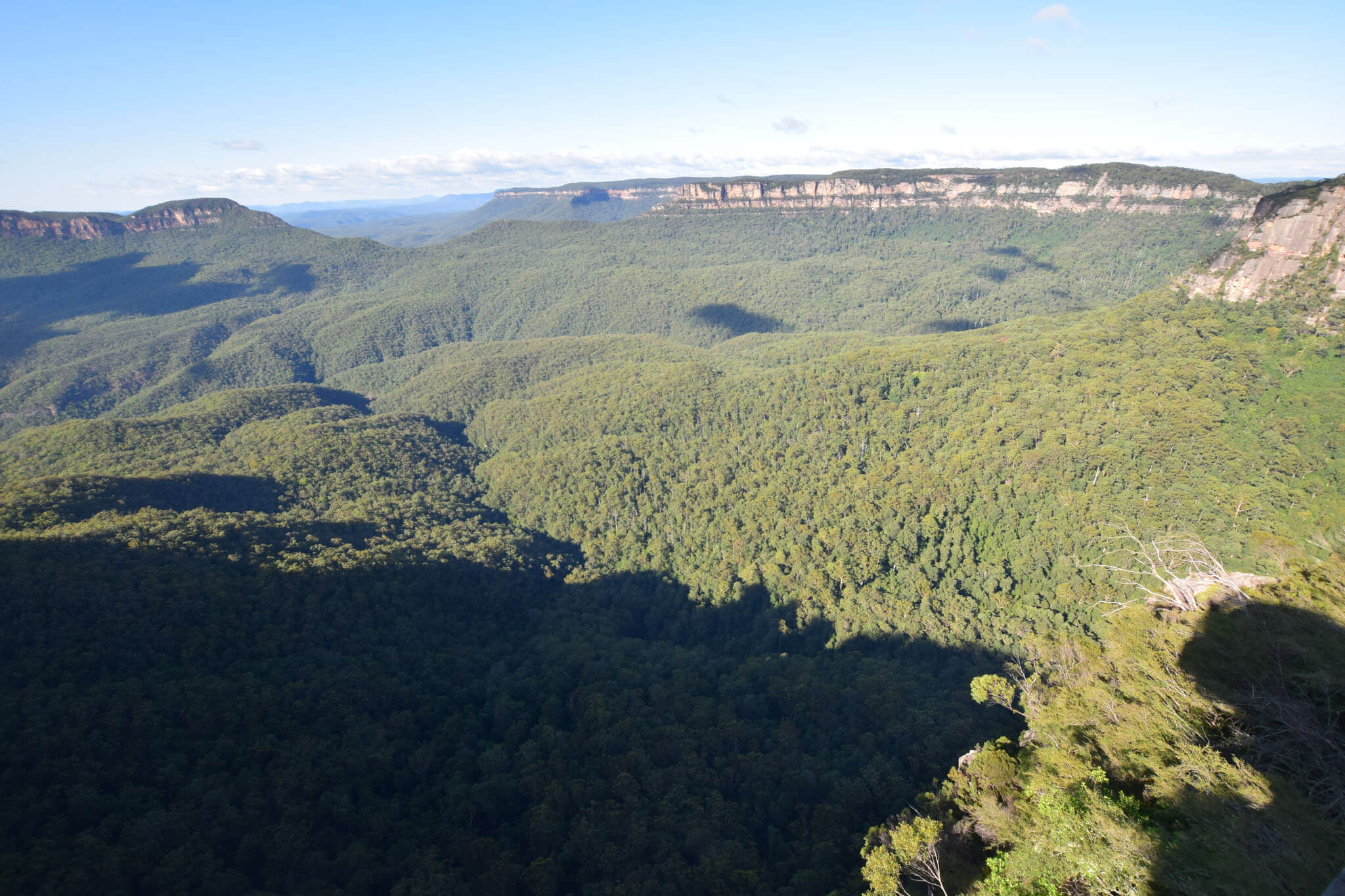 Read more about the article A Weekend In The Blue Mountains: A Sydney Day Trip