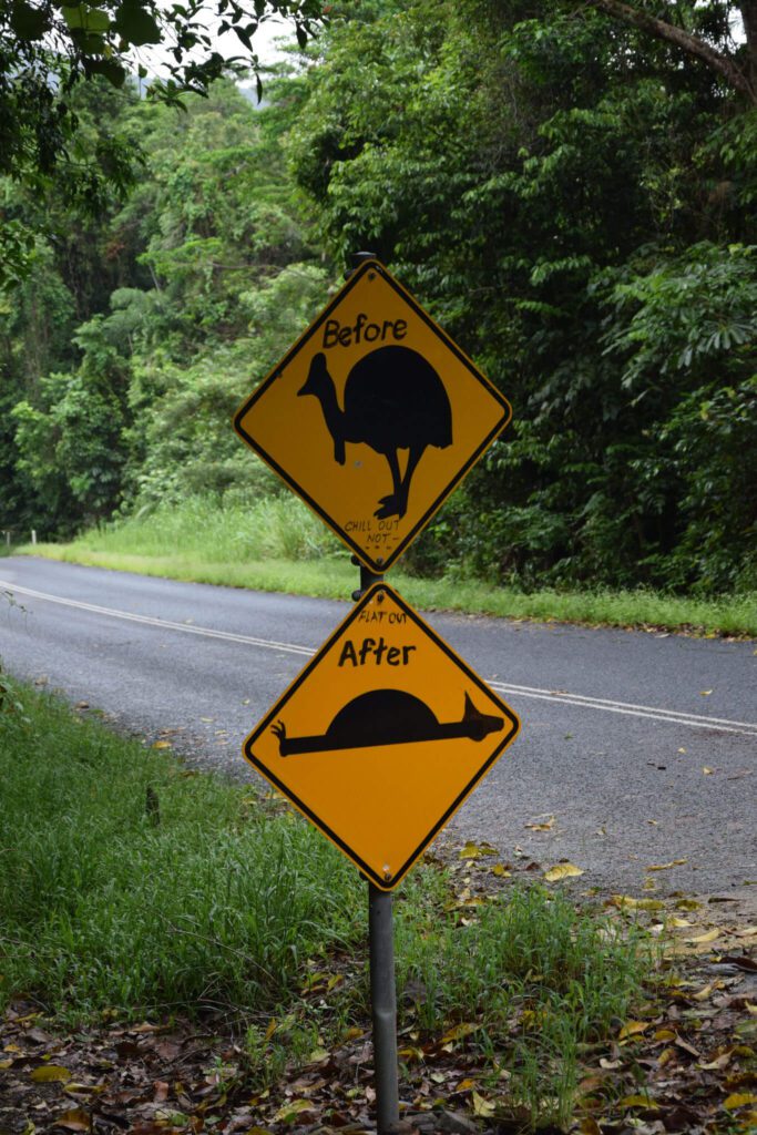 cassowary road sign