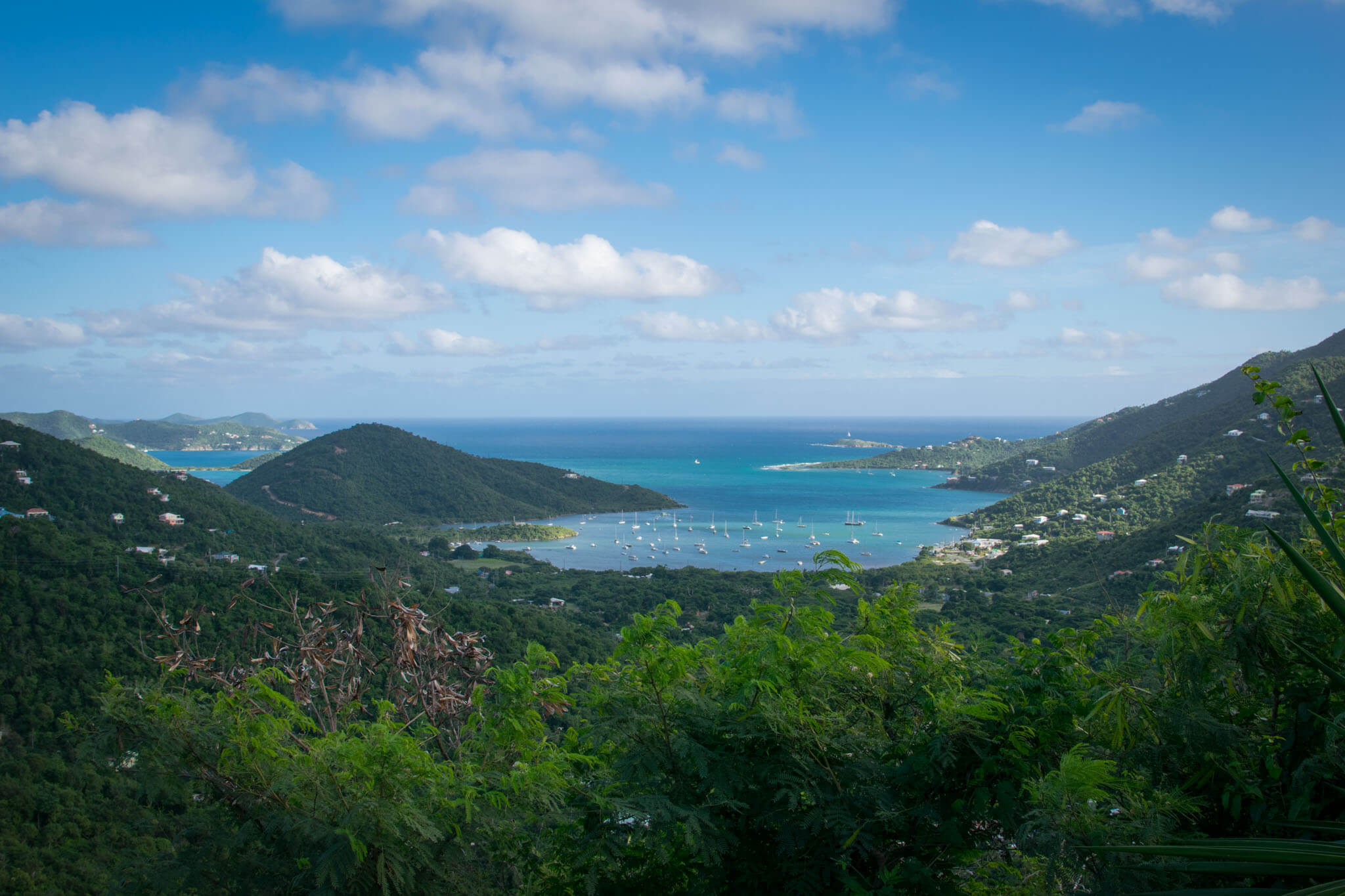 Read more about the article Puerto Rico Or USVI: Which Island Is The Best?