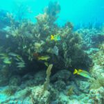 4 Florida Road Trip Itineraries For Your Vacation