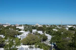 Read more about the article 19 Fantastic Things To Do In Key West, Florida