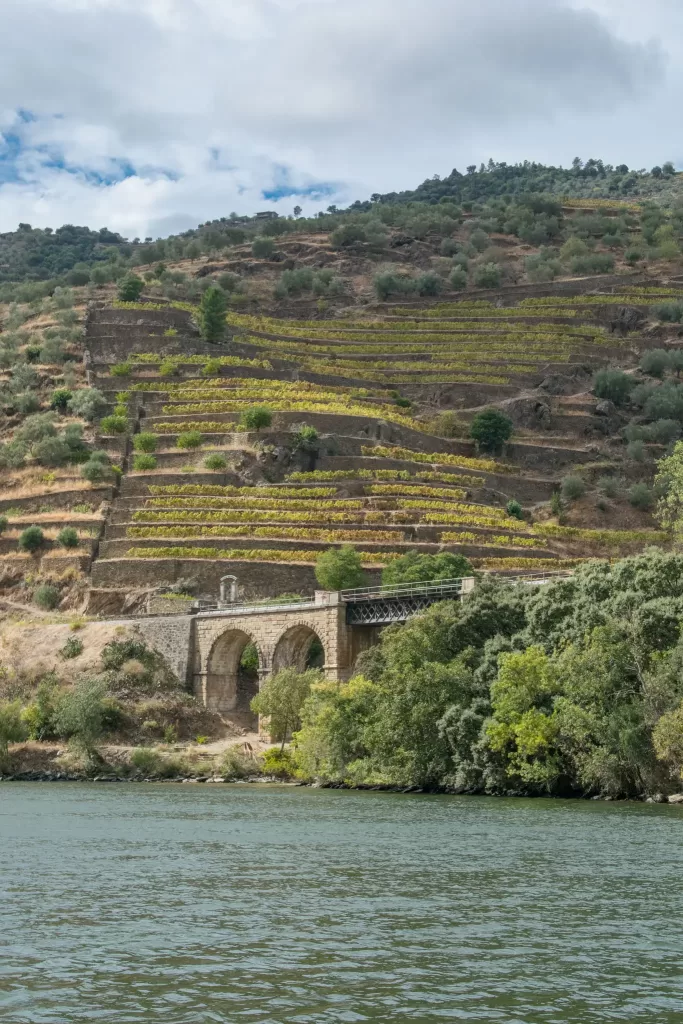 Douro Valley