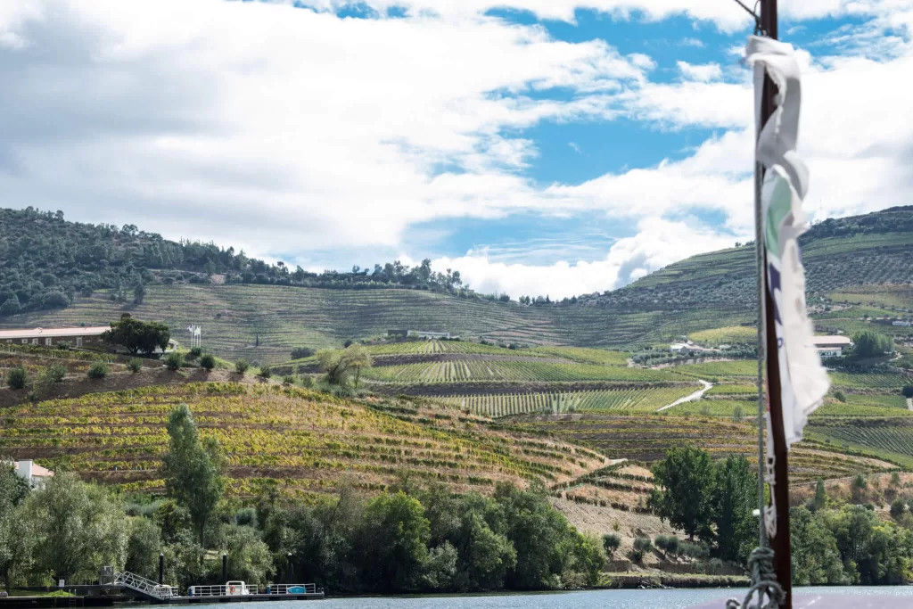 Douro Valley