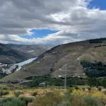 A Beautiful Douro Valley Day Trip From Porto