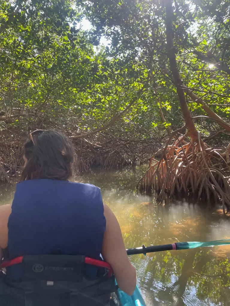 Curry Hammock State Park