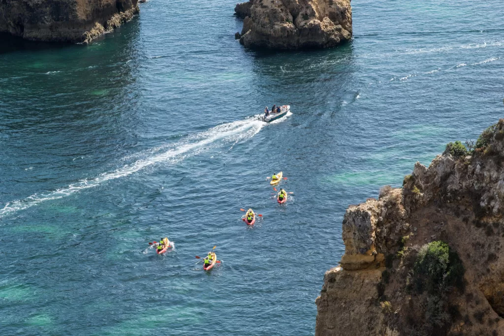 Kayak tour