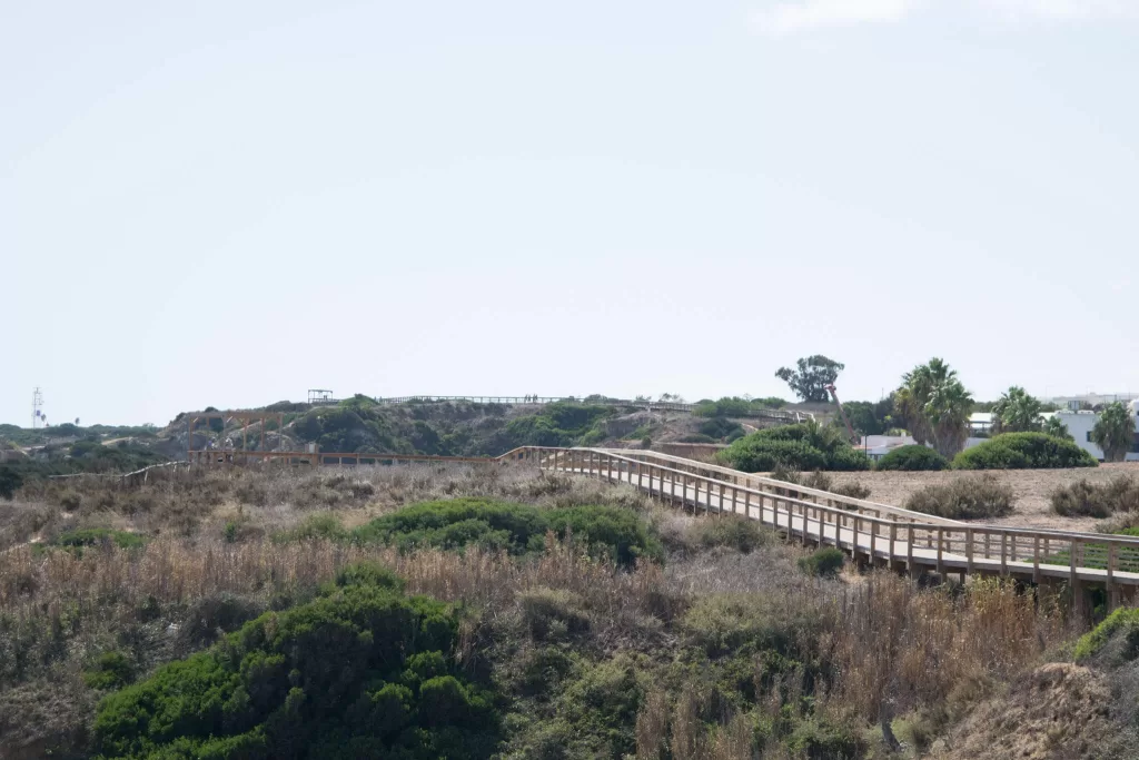 boardwalk