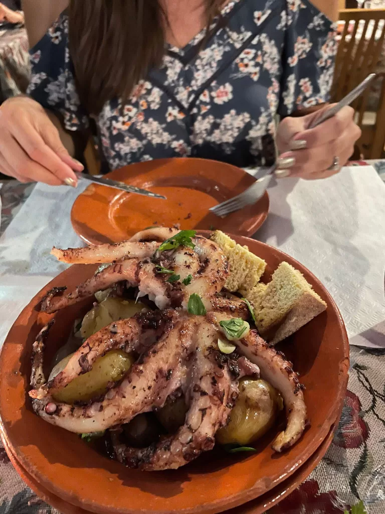octopus