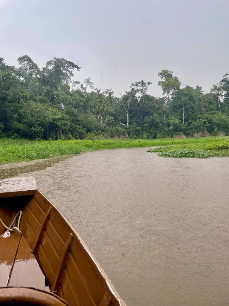 rain on Amazon River
