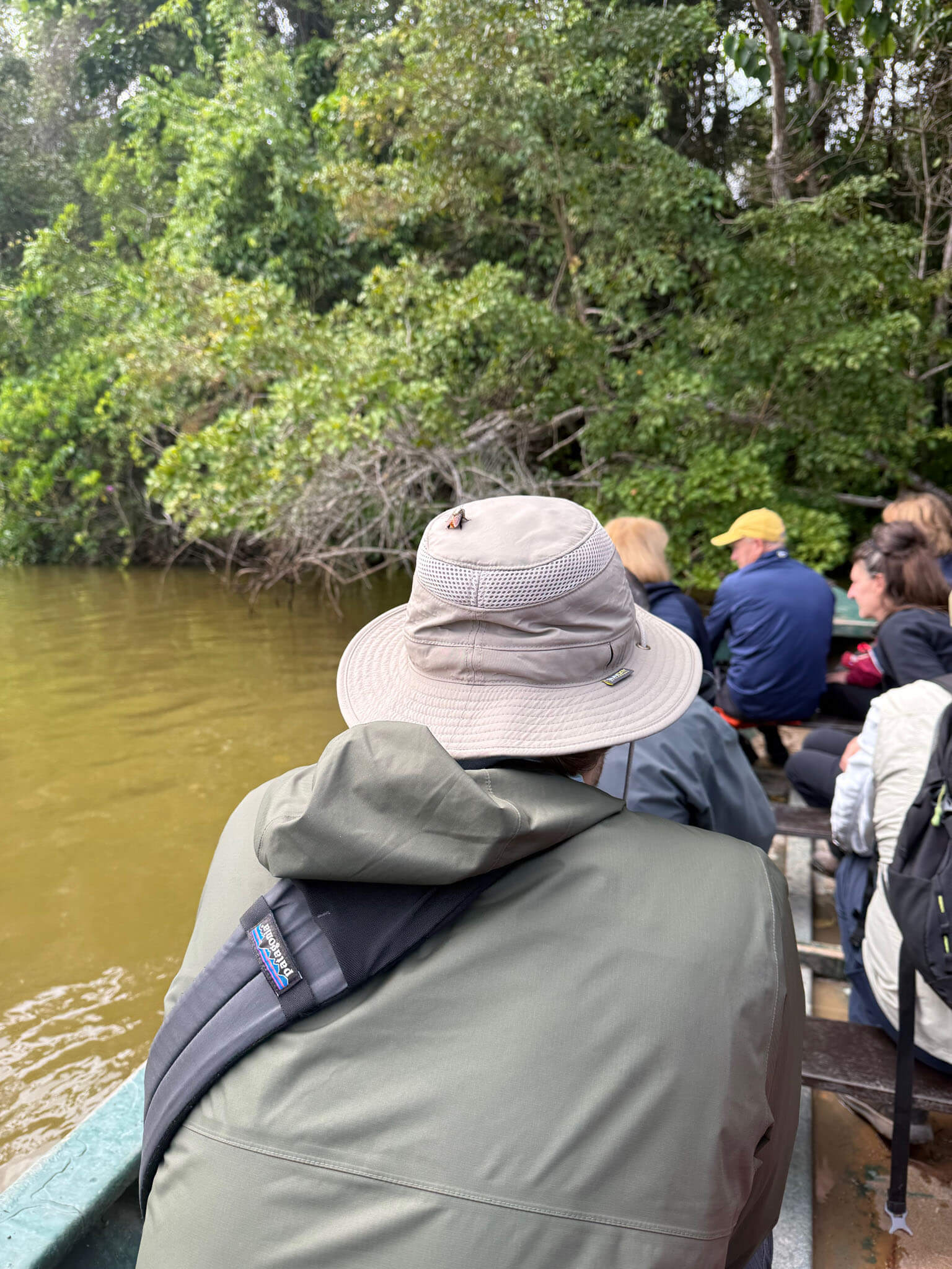 Amazon rainforest canoe ride