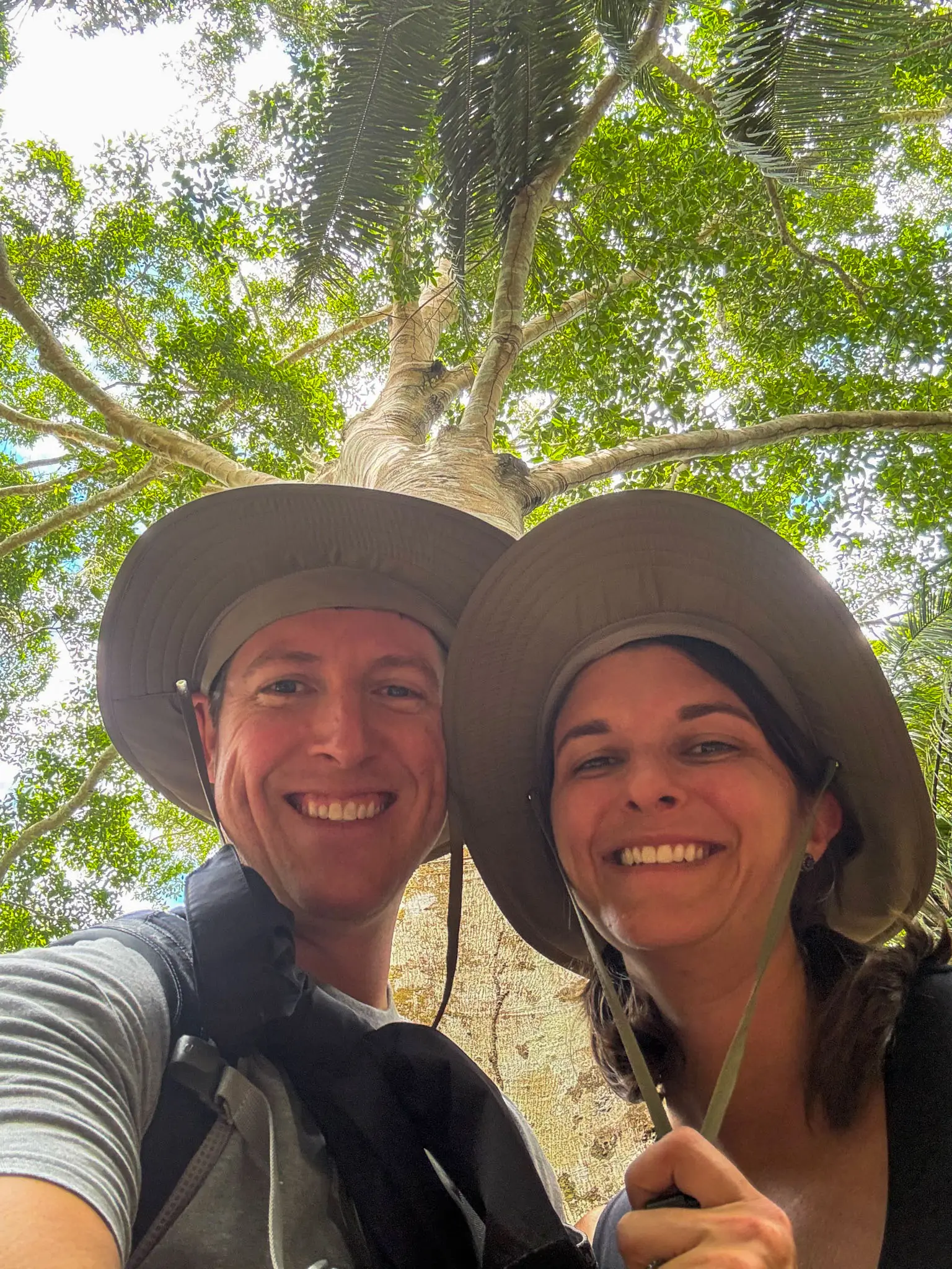 rainforest packing