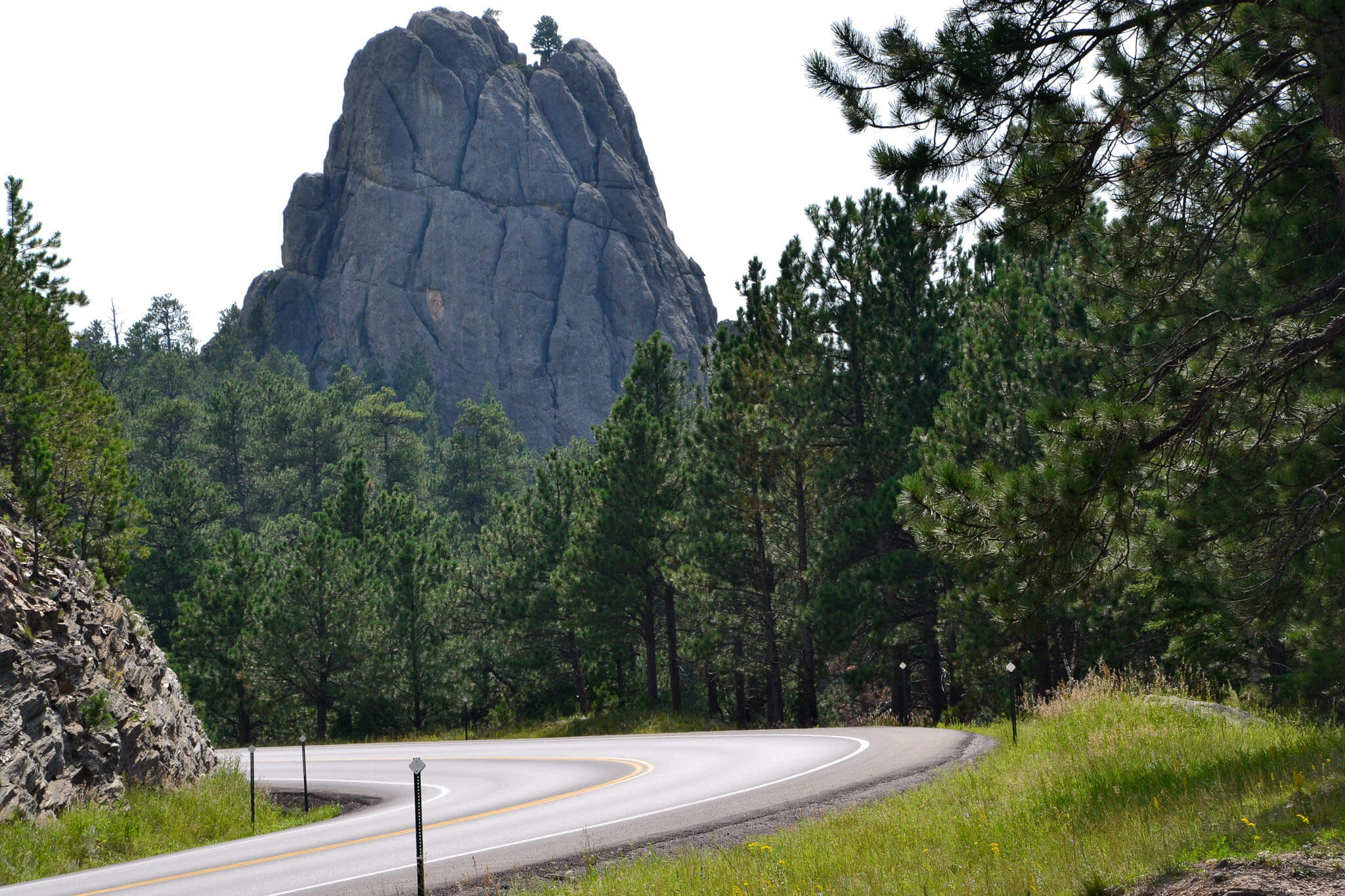 Needles Highway