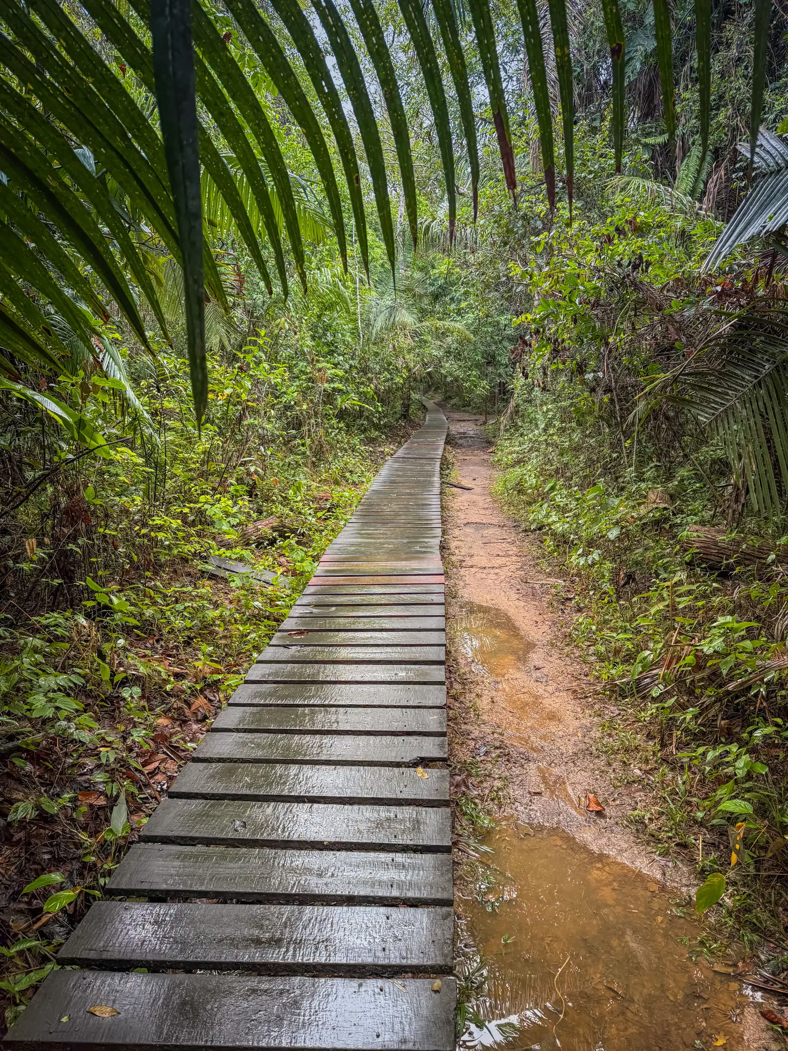 Tambopata National Reserve