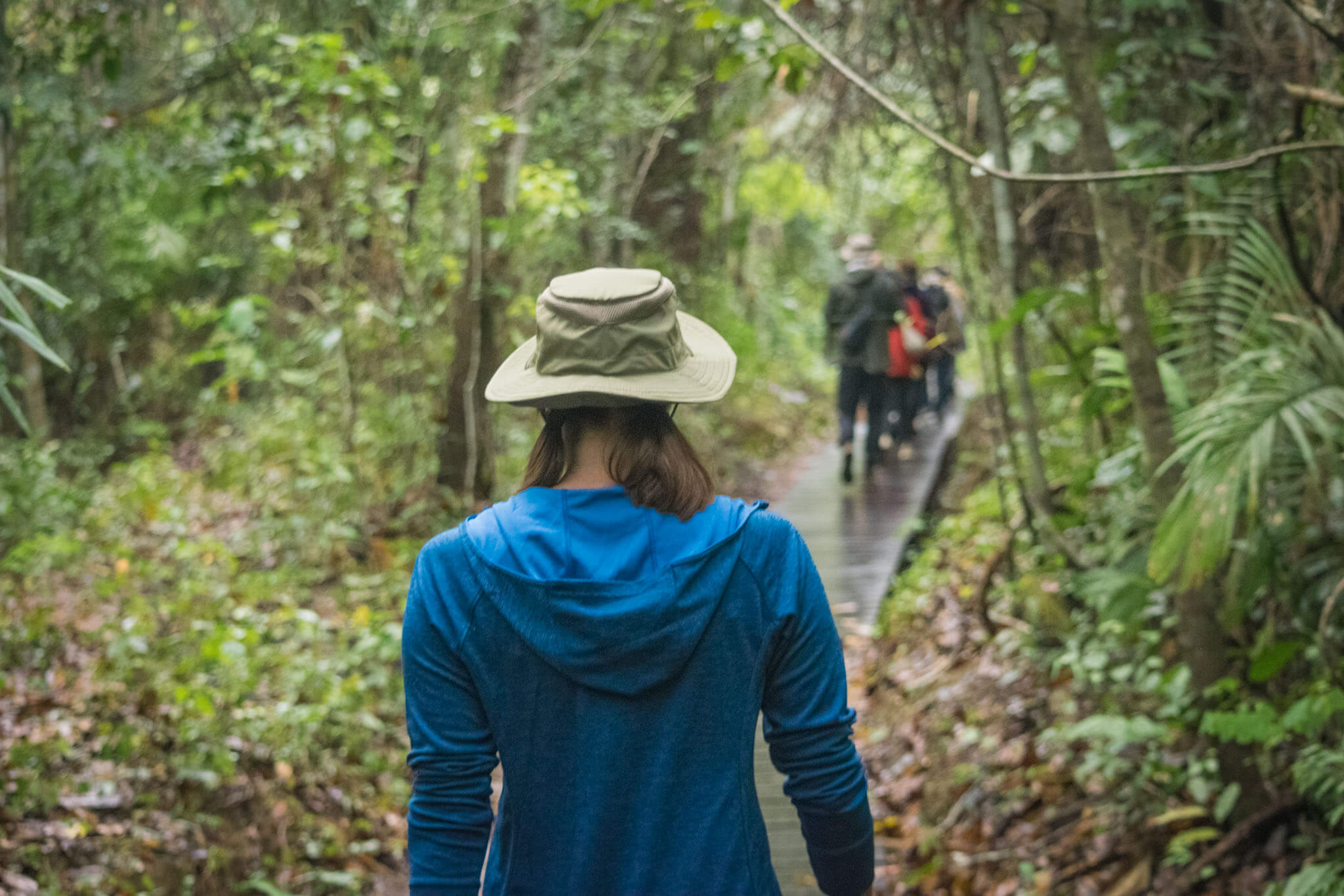 Tambopata Nacional Reserva