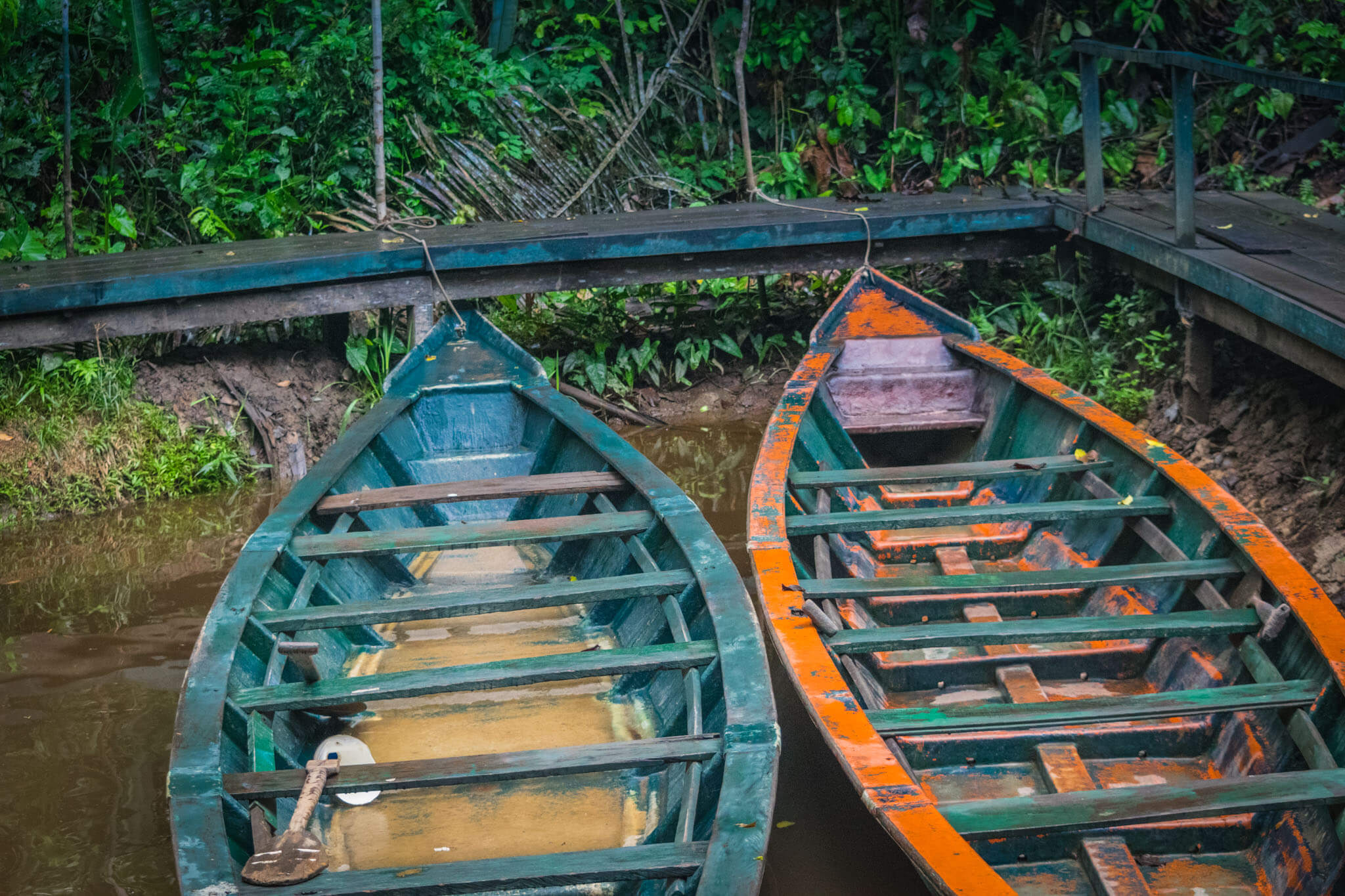 canoes