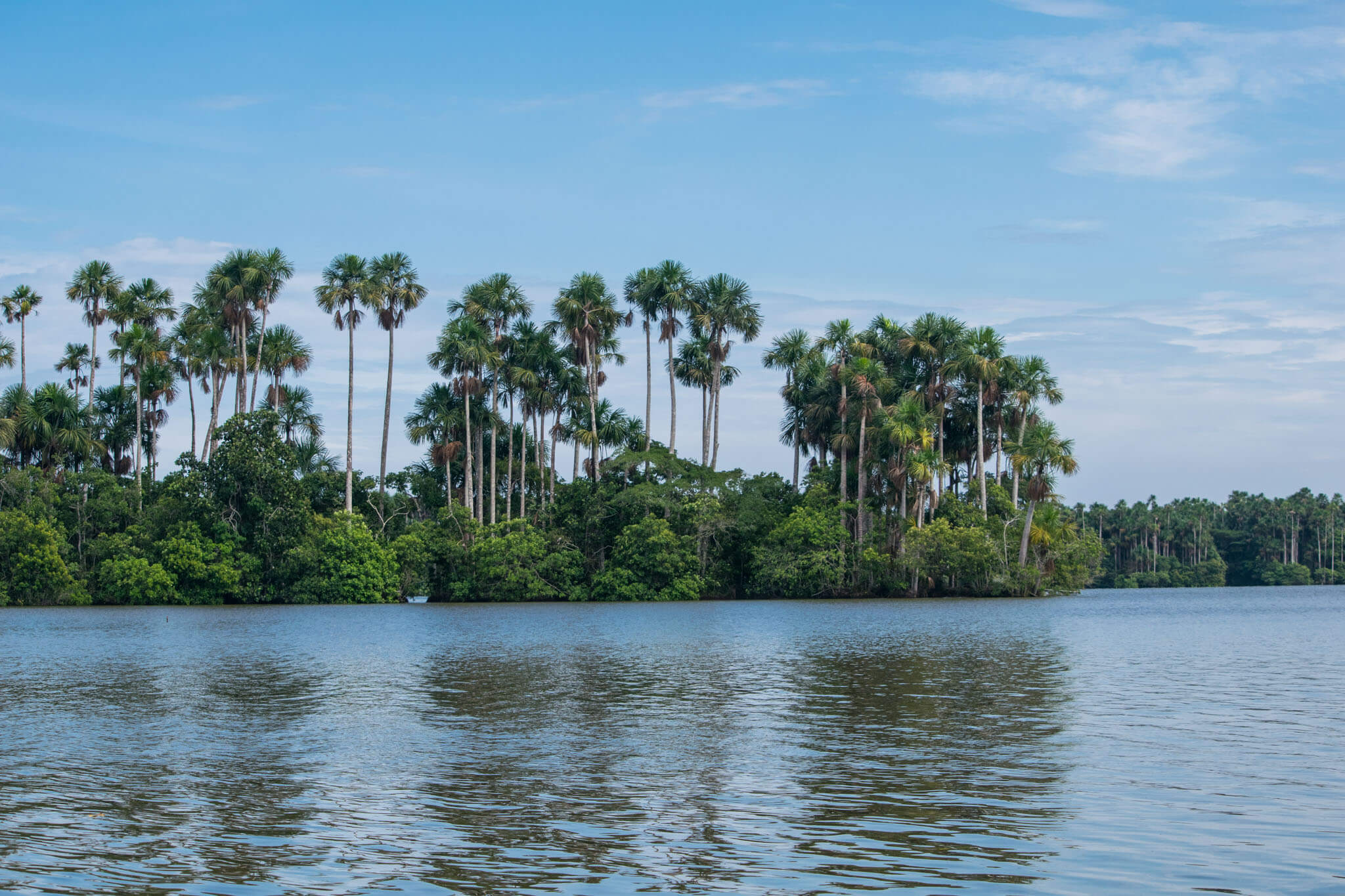 Lake Sandoval
