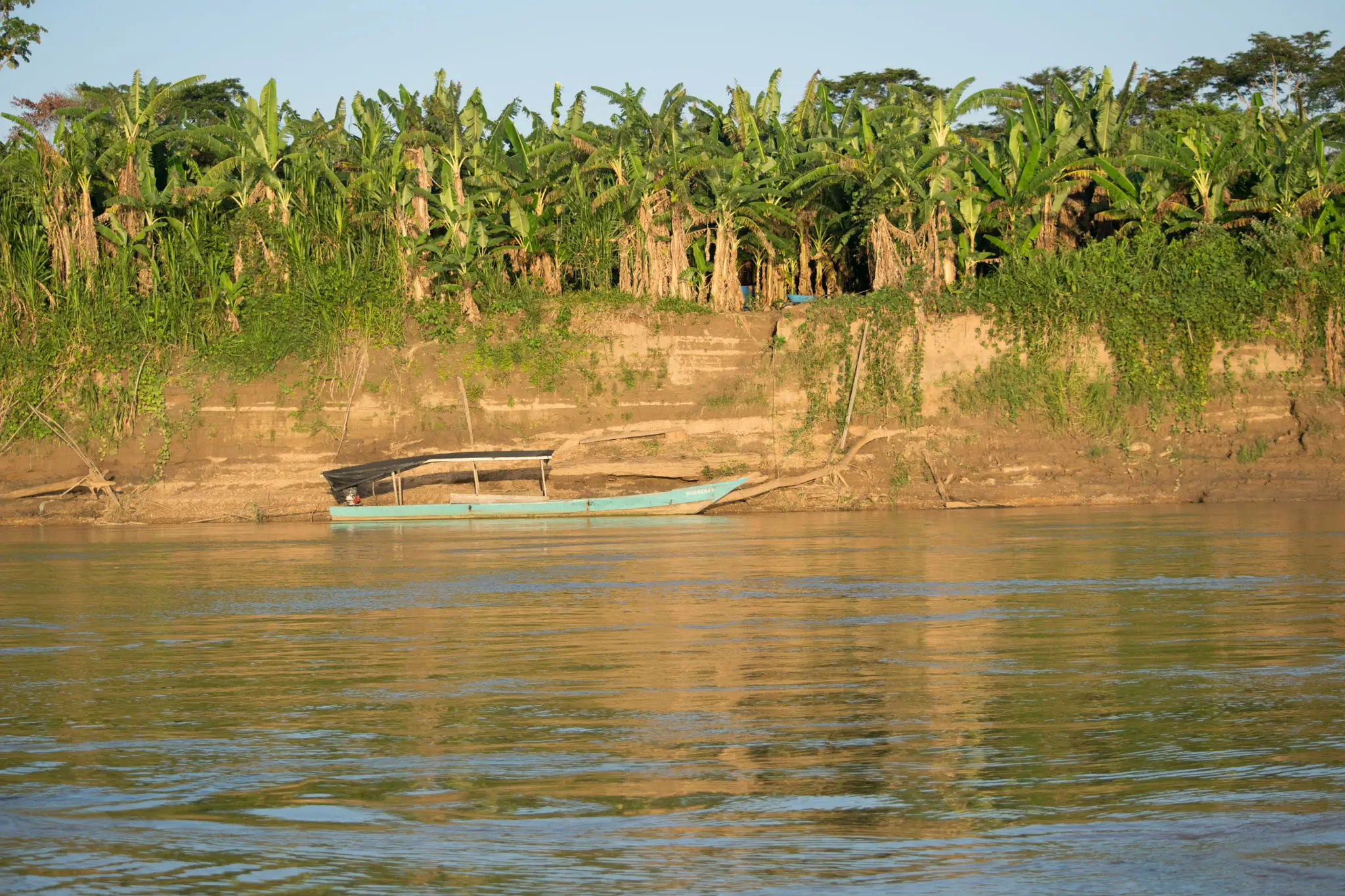 boat on river in rainforest