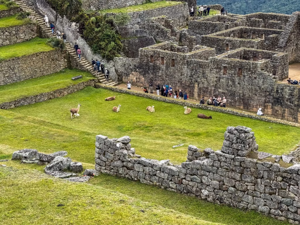 Machu Picchu