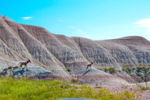 Badlands National Park