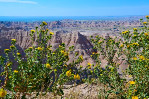 Badlands National Park