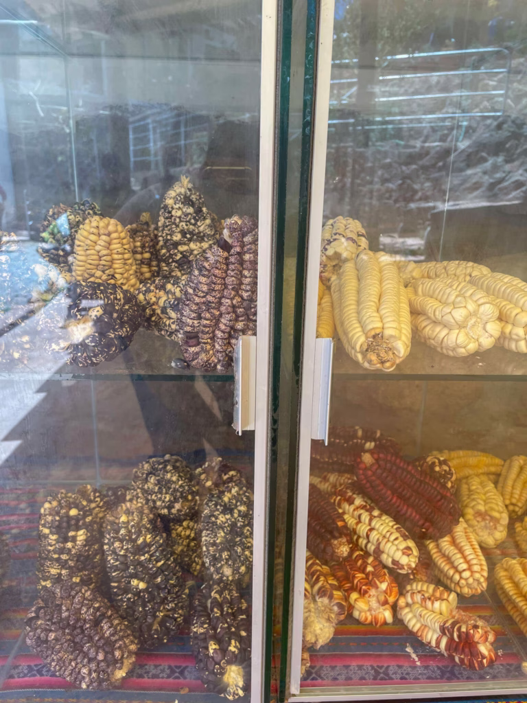 Peruvian corn
