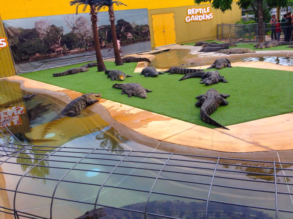 Reptile Gardens
